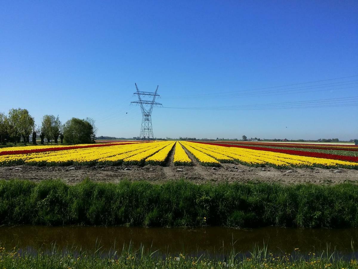 Tinyhouse Natuurhuisje Met Veranda Bij De Molen Tussen Alkmaar En Hoorn Oterleek Экстерьер фото